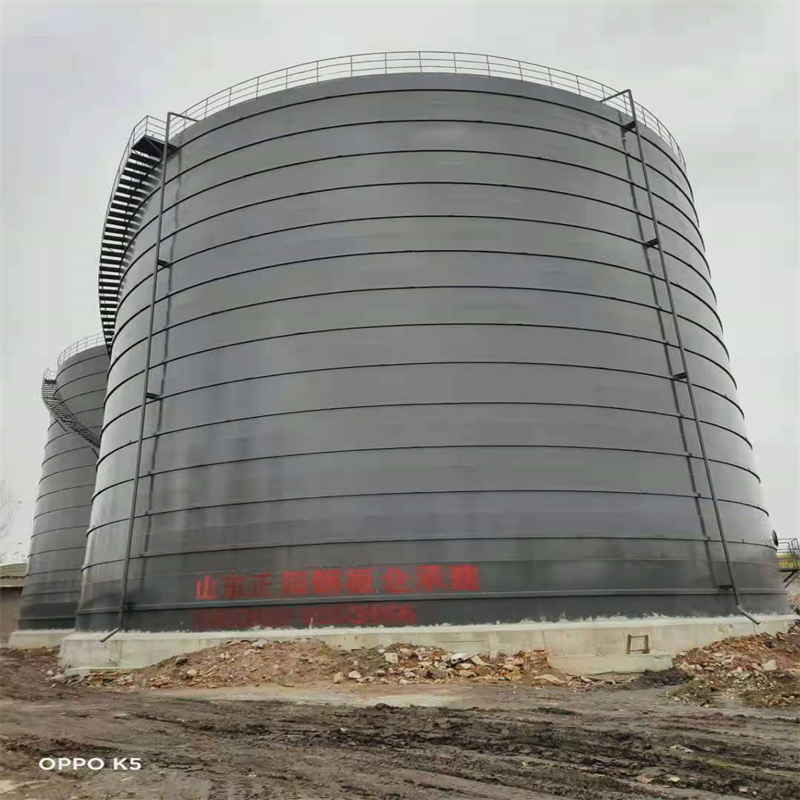 长坡镇3万吨大型钢板库