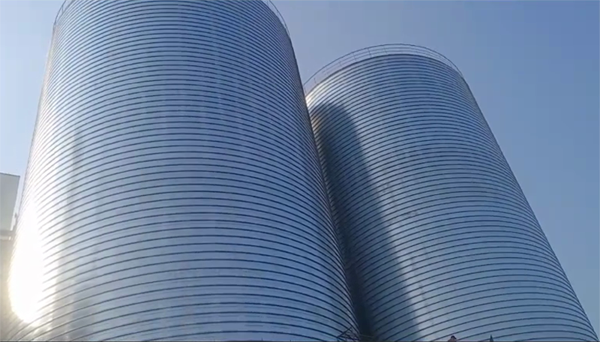 长坡镇2座混凝土高架卷板仓